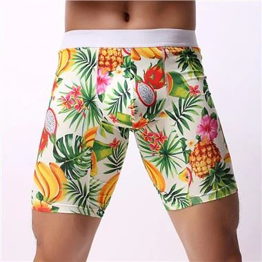 Men's Printed Boxer Fashion Boxer Briefs